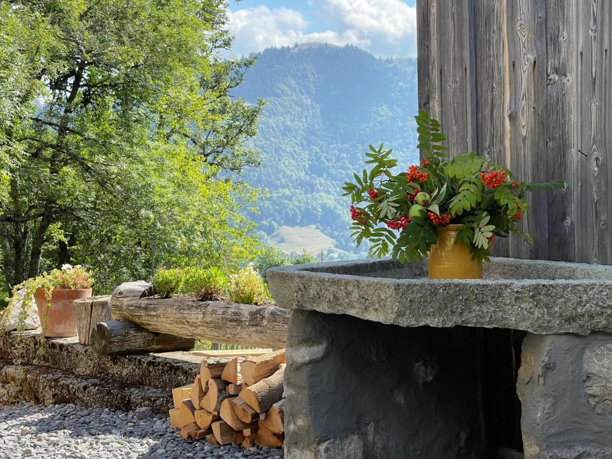 Chalet Alpage Proche Geneve Megevette Ngoại thất bức ảnh